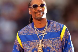 Snoop Dogg and Pete Davidson Named 2023 NFL Pro Bowl Captains