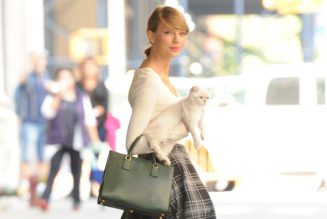Taylor Swift’s Cat Olivia Benson Is Reportedly Worth $97 Million