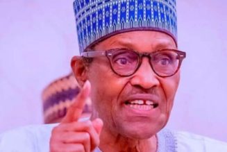 Those planning to disrupt 2023 polls will be met with full force of the law — President Buhari warns