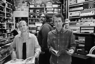 Yo La Tengo Share New Song “Aselestine”: Listen