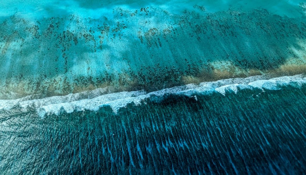 Best dive sites in Belize: our top 8 picks