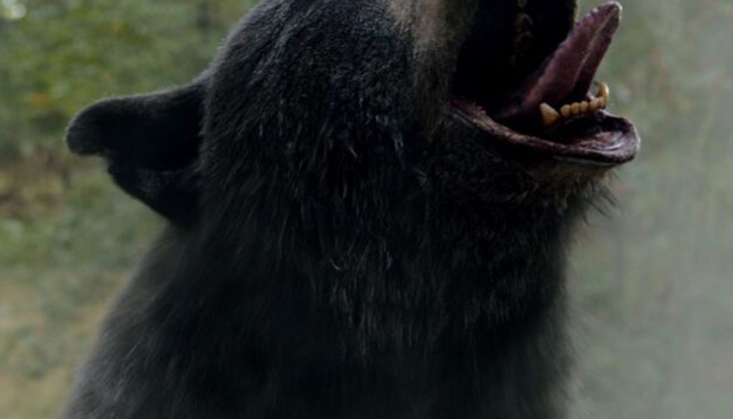 Cocaine Bear doesn’t have a problem — it just doesn’t know when to stop