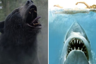 Elizabeth Banks Is Down to Make a Cocaine Shark After Cocaine Bear