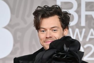 Harry Styles's Fans Speculate About his Dyed Hair at the 2023 Brits