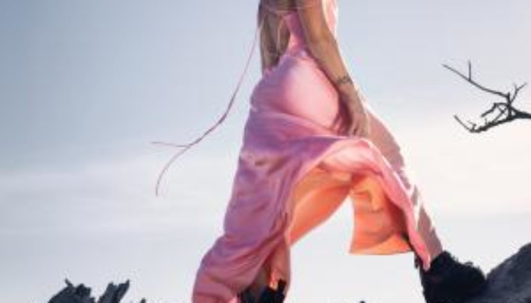 Lyrics: Pink – TRUSTFALL