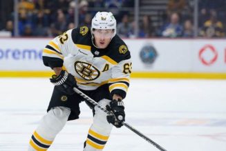 NHL referee takes out Bruins' Brad Marchand with surprise check in bizarre moment - Fox News