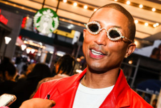 Pharrell Williams Is Louis Vuitton’s Next Men’s Designer - The New York Times