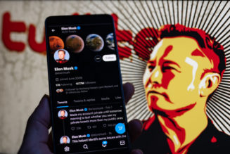Phony Stark Elon Musk Plans For Someone Else To Run Twitter