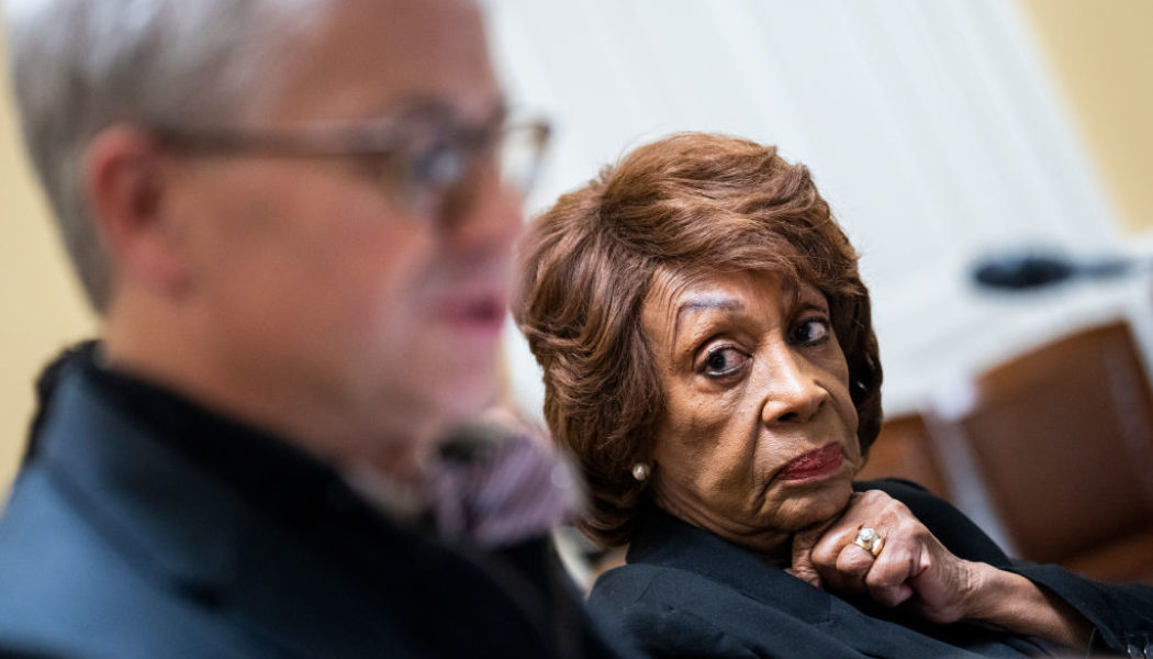 Rep. Maxine Waters Fries MAGA Bozos In Congress With Ease