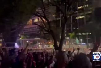 12 hospitalized on day 1 of Ultra Music Festival in Miami - WPLG Local 10