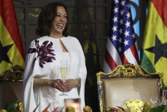 25 African songs that made it to Kamala Harris' playlist on African visit - Africanews English