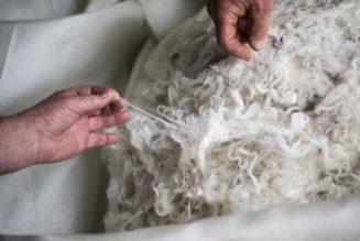 Apparel Interlining Company Chargeurs PCC Taps into Sustainable ... - WWD