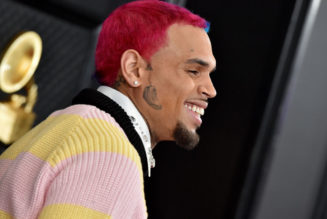 Chris Brown Throws Fan’s Phone Into The Crowd For Filming While On Stage