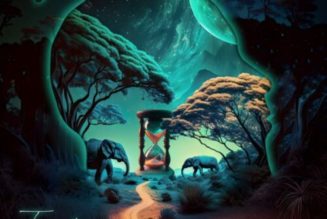 Davido – Picasso ft Logos Olori