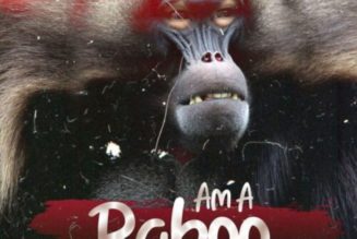 DJ YK Mule – Am A Baboo