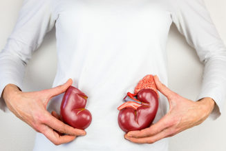 Healthy lifestyle key to preventing kidney degeneration say health experts - The Week
