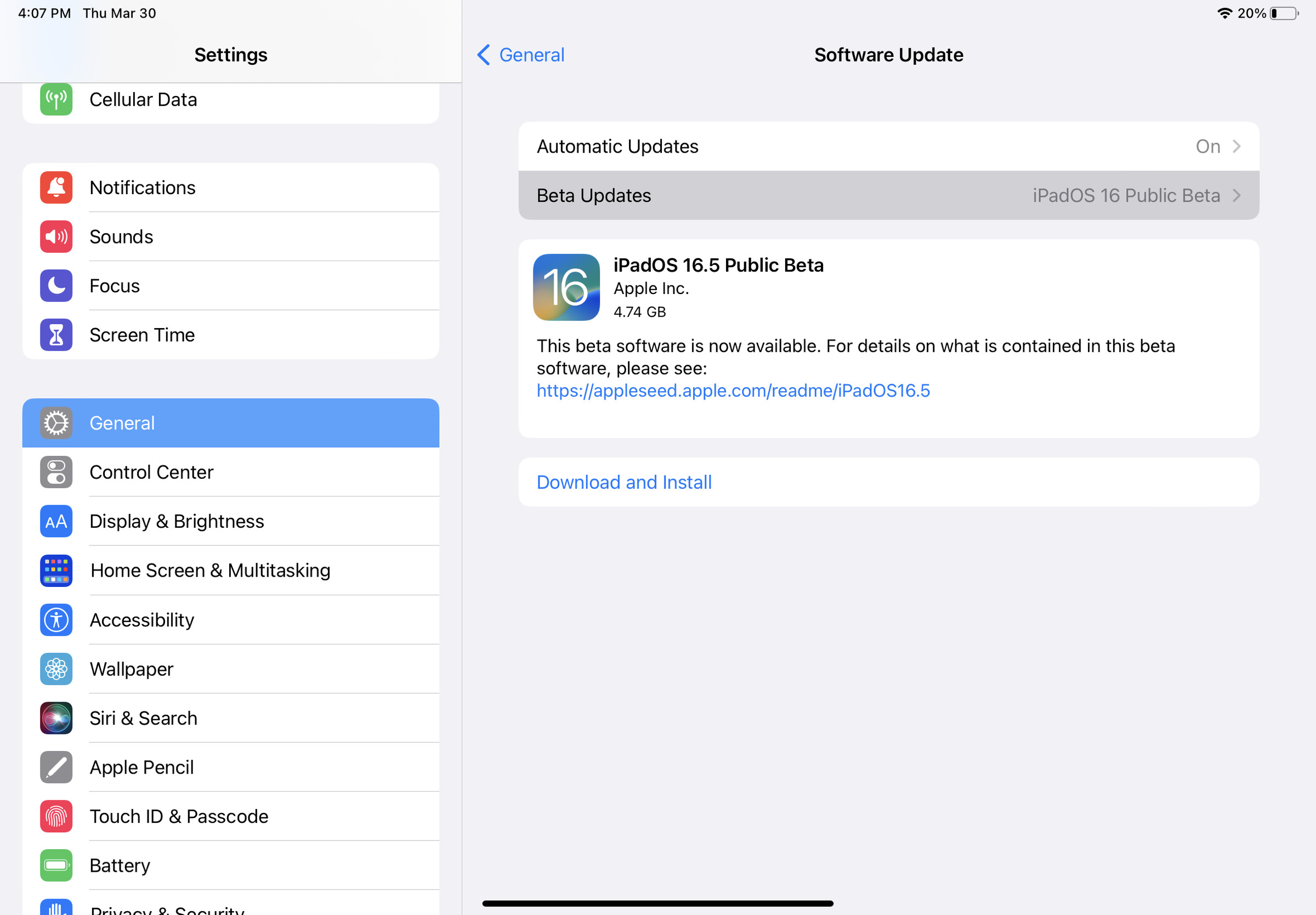 Screenshot of iOS iPad 16.5 public beta page.