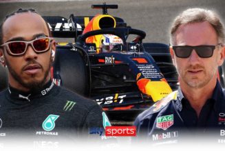 Lewis Hamilton: Christian Horner 'can't see' shock move from Mercedes to Red Bull - Sky Sports