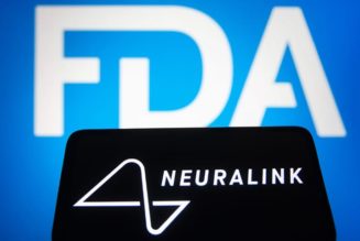 Neuralink’s Request To Begin Human Trials of Its Brain Implant Reportedly Denied by the FDA
