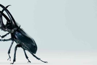 Nothing Teases the Launch of the New ear (2)