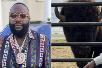 Rick Ross’ Pet Buffalo Are Causing Havoc in the Neighborhood