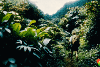 Text-to-video AI inches closer as startup Runway announces new model