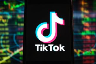 White House Gives Government Agencies 30 Days to Delete TikTok