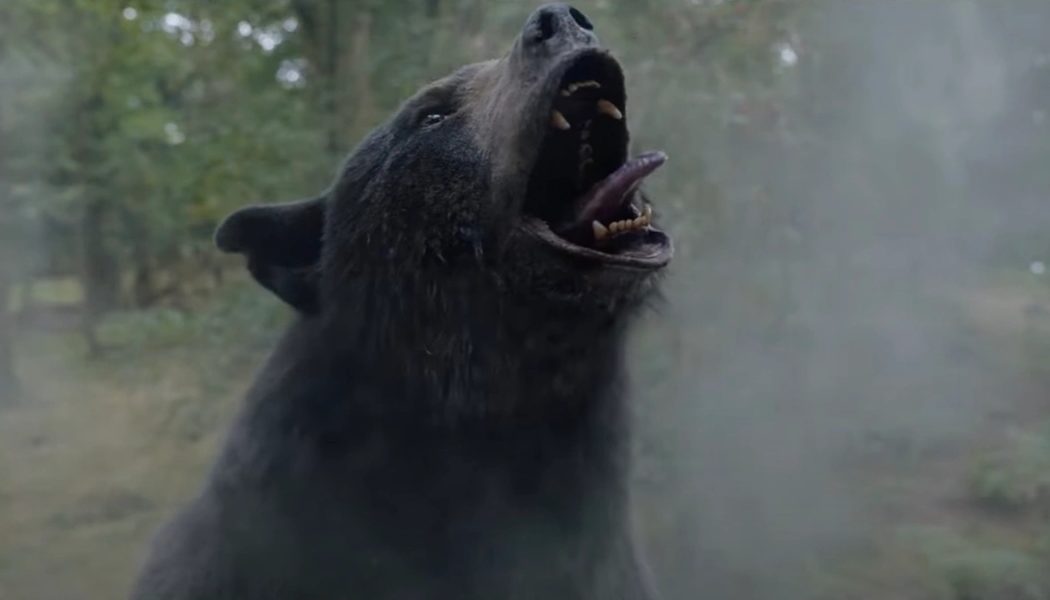 Cocaine Bear to Blow Its Way onto Peacock