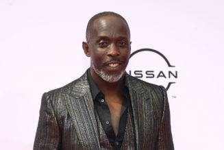 Dealer Involved In Death Of Michael K. Williams Pleads Guilty