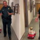 Florida sheriff's office demonstrates road safety using dog in adorable video - The Independent