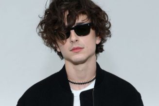 Timothée Chalamet Will Do His Own Singing in Forthcoming Bob Dylan Biopic