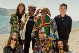 WITCH To Release First Album In 40 Years On New Label Desert ... - Grimy Goods