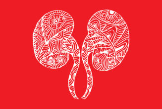 9 Ways to Keep Kidneys Healthy - AARP