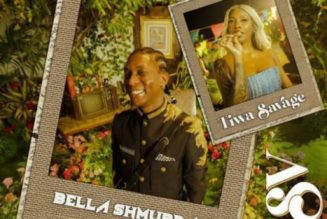 Bella Shmurda ft Tiwa Savage - NSV (Non Stop Vibe)