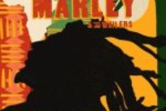 Bob Marley ft The Wailers - Waiting In Vain ft Tiwa Savage