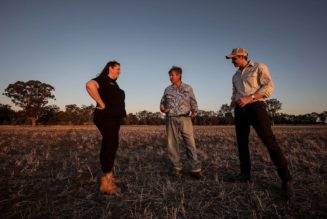 Can a Mushroom Save our Soil?