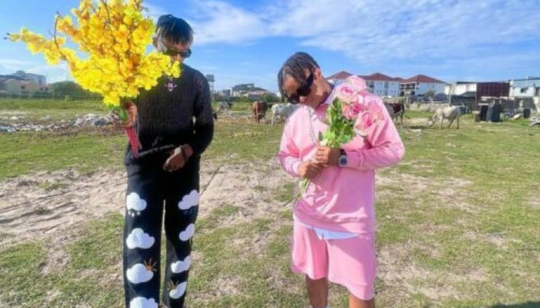 Cheque ft Crayon - SunFlawa