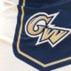George Washington University announces new moniker after backlash