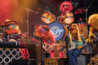 It’s time to play the music! After 50 years, Dr. Teeth & the Electric Mayhem release first album to prove 'rumors of rock's demise are greatly exaggerated.' - Yahoo Entertainment