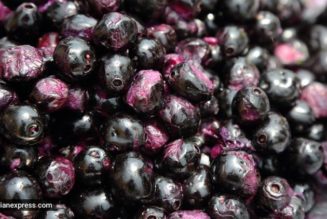 Nutrition alert: One cup (135 grams) of jamun contains…