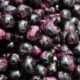 Nutrition alert: One cup (135 grams) of jamun contains…
