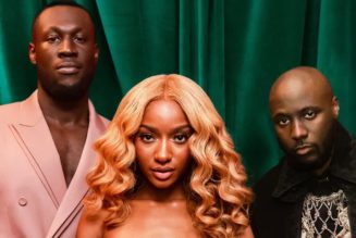 Stormzy Enlists Ayra Starr and Tendai For "Need You" Visuals