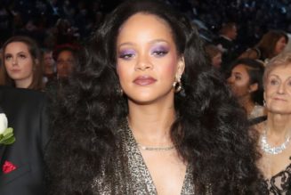 Success with Rihanna's music rights helps Web3 marketplace raise fresh VC round