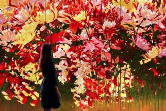 teamLab Heads to Sweden for 'Animal Kingdom' Group Exhibition