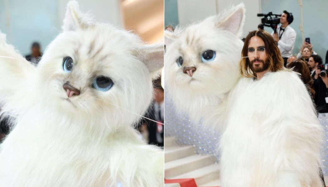 What Your Favorite Musicians and Other Celebrities Wore to the 2023 Met Gala