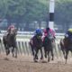 2 horses die at Belmont Park, adding another black eye for sport during Triple Crown season