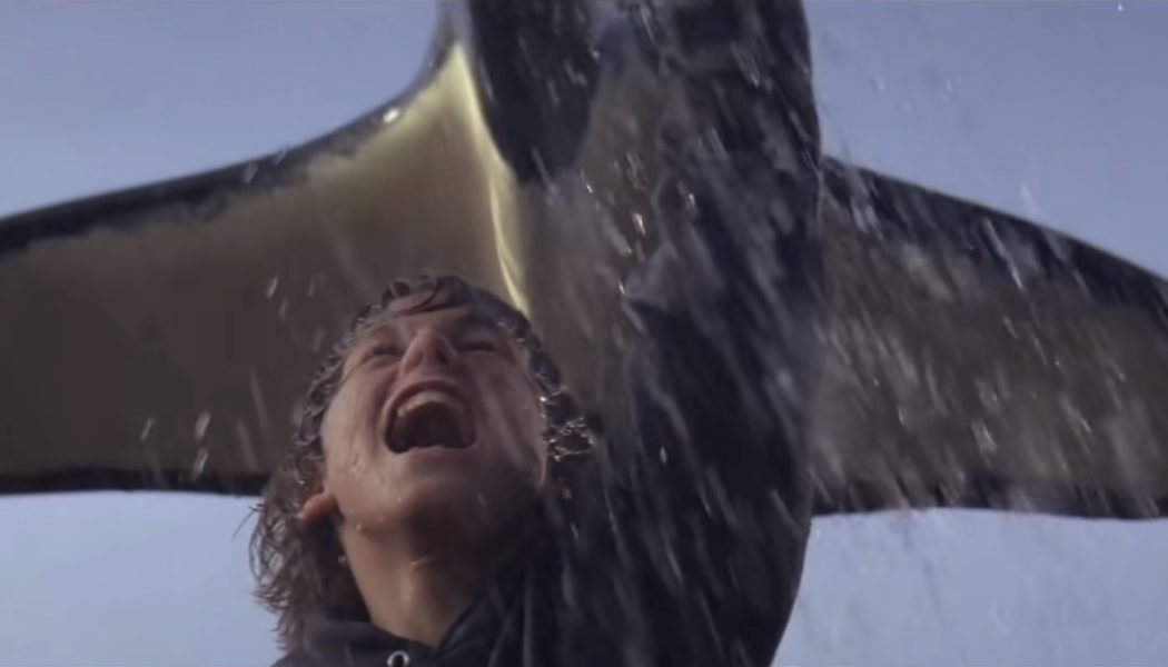 A rocket launcher was used to create Free Willy ending, reveals film's director