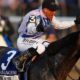 Arcangelo wins 155th Belmont Stakes