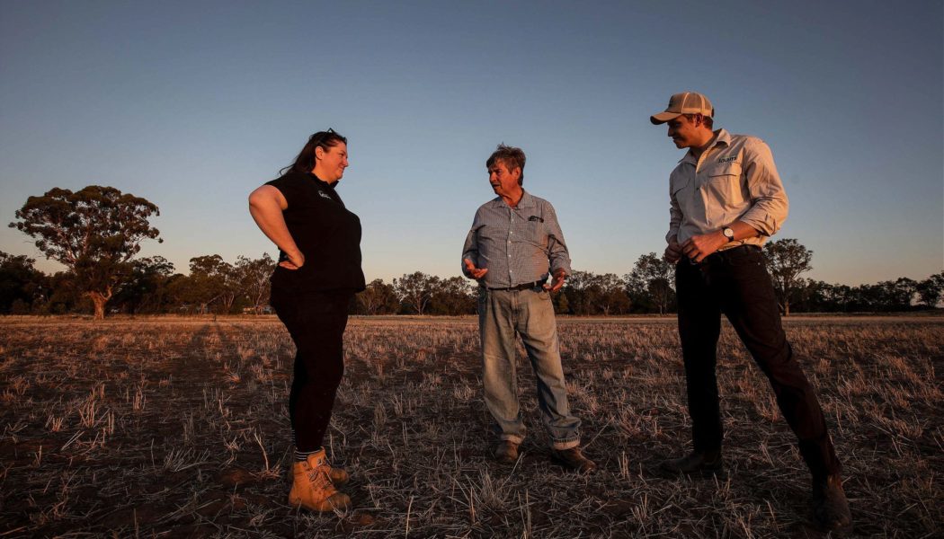 Can Fungi Save our Soil?