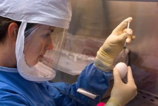 Canadian study identifies lifestyle behavior changes and related risk factors during COVID-19 pandemic